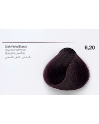 6,20 - Dark Violet Blonde-swatch